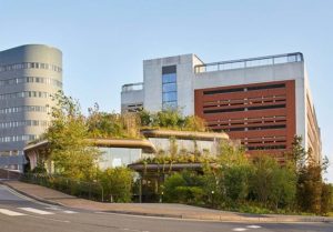 Arquitetura , Biofilia , Assistência médica , Heatherwick Studio , Maggie's Center - mauriciogebaraarquitetura.com - arquiteto